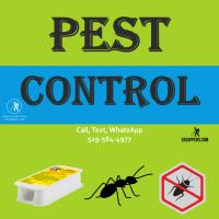 enzappers Pest Control Services image 5